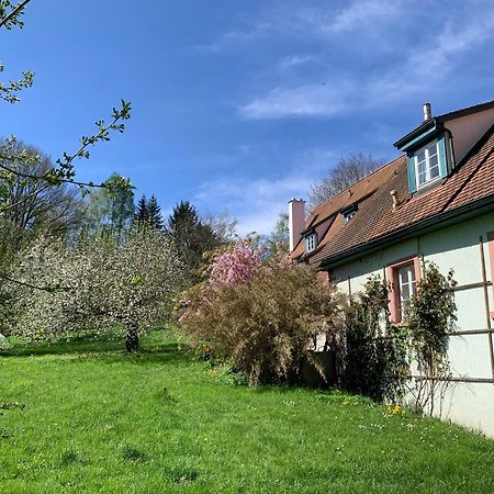 Ferienwohnung In Historischer Muehle Buchen (Odenwald, Baden-Wurttemberg) Exterior foto