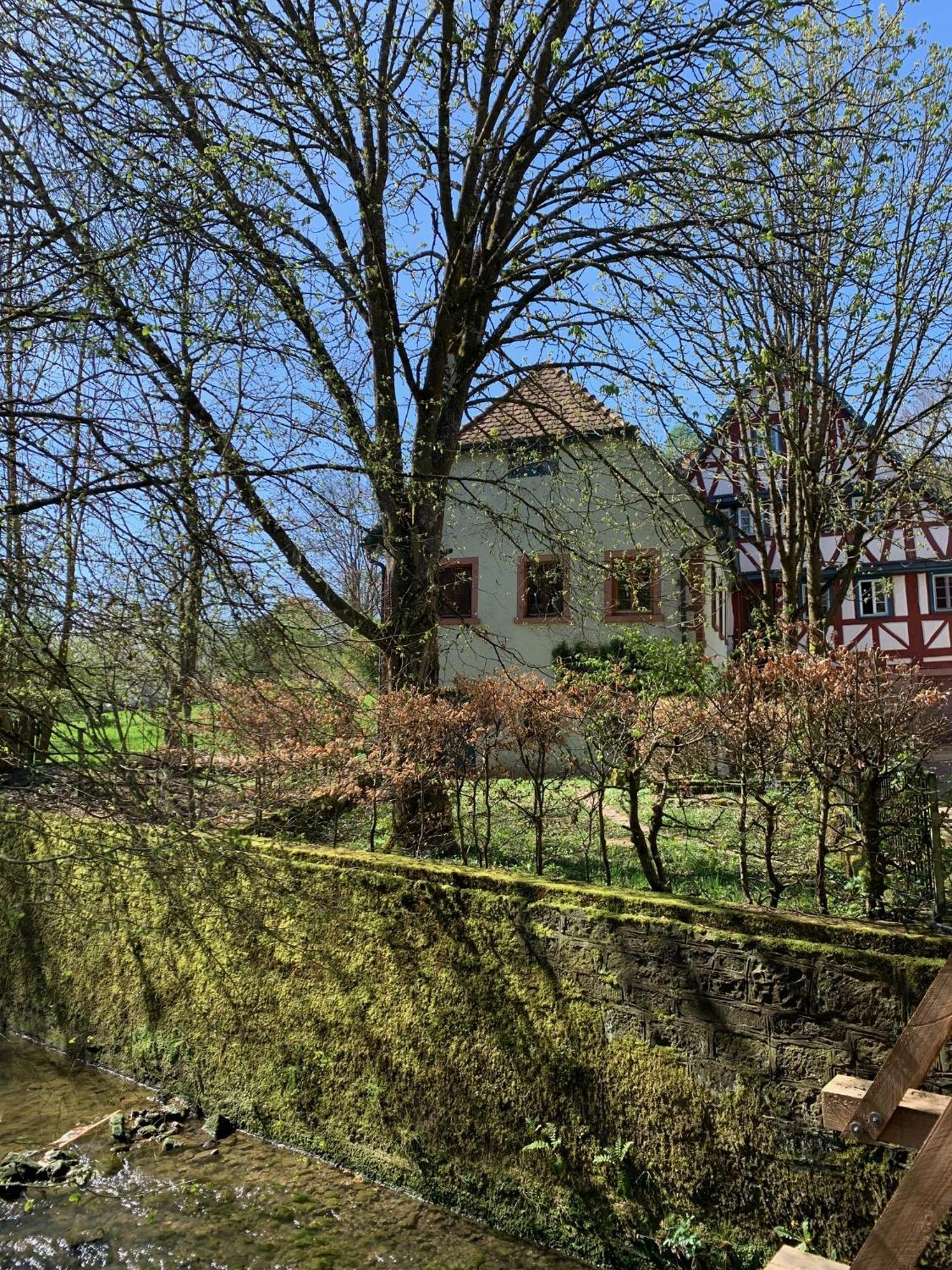 Ferienwohnung In Historischer Muehle Buchen (Odenwald, Baden-Wurttemberg) Exterior foto